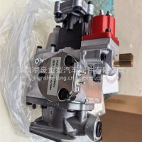 4915474 3059657重油燃油泵4915474济宁 山东4915474 3059657/G010124785