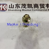 AZ1642430071翻转轴螺栓豪沃茂凯/AZ1642430071