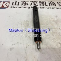 VG1560080276喷油器重汽茂凯/VG1560080276