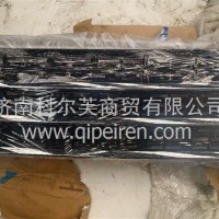 DZ97189625040保险杠格栅总成陕汽/DZ97189625040