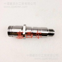 适用于依维柯/菲亚特3.0D的博世柴油喷油器壳体/0445120120
