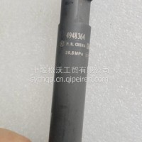 喷油器/4948364