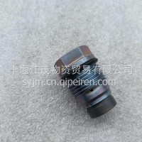 东风康明斯ISDE发动机共轨限压阀/D4938005