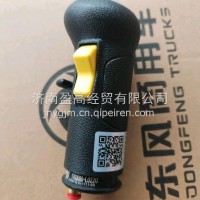 操纵手柄总成/1703080-L0220