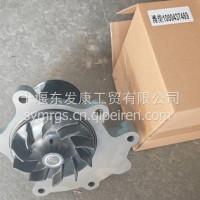 1000437469 潍柴WP13水泵总成/1000437469