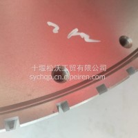 飞轮总成/1005115-E9C00