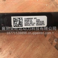 共轨总成/5572102/5594544/5686240