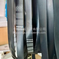 康明斯ISDE风扇皮带/C5262264