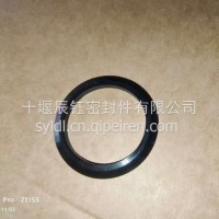 NT855滤清器座密封圈/3308958