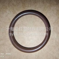 EGR冷却器密封圈/3683814