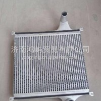 FG9816533132重汽海西豪曼豪沃轻卡中冷器总成/FG9816533132