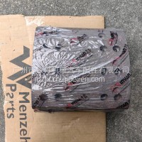 解放Jh6高地板悍威2.0楔块制动后刹车片秦燕/QJP000049 200宽8厘孔16孔