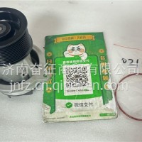 1004450212 潍柴WP10.5H发动机水泵泵头WP11S/1004450212