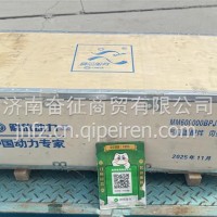 MM600000BPJGG-SP 一汽解放J6锡柴M60发动机气缸盖总成 原厂带气门/MM600000BPJGG-SP