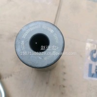 15N天然气火塞销/5575590