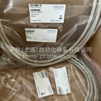 莘默 BURSTER 过程监控仪 9307-V0102/9307-V0102