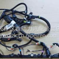612650080088潍柴WP10发动机线束/612650080088