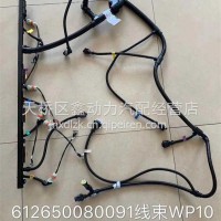 612650080091潍柴WP10发动机线束/612650080091