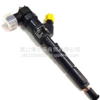 全新辽宁新风喷油器喷油嘴总成NFI3.1-061玉柴锡柴高压/HA10003550
